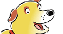 PBS Dog PBS Dog