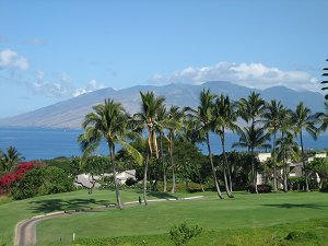Maui