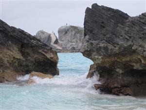 bermuda 
